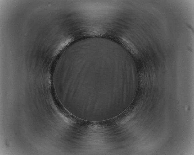 X0000091350634200708241247