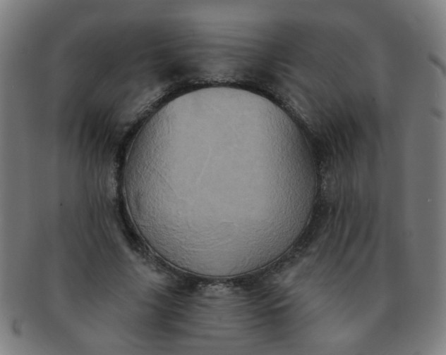 X0000091350635200708241247