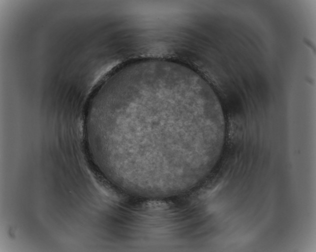 X0000091350636200708241247
