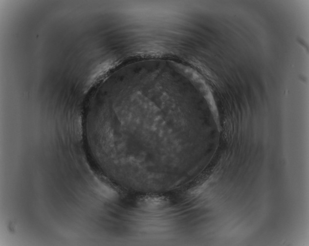X0000091350638200708241247