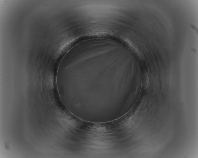 X0000091350640200708241248