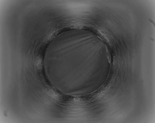 X0000091350641200708241248