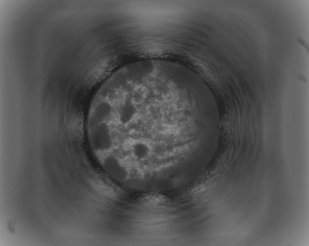 X0000091350642200708241248