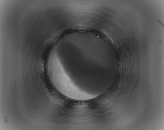 X0000091350643200708241248