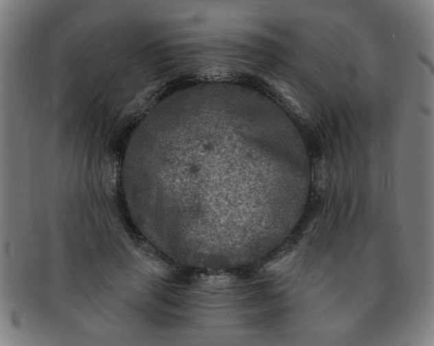 X0000091350645200708241248