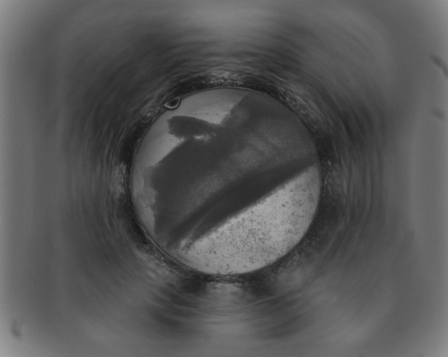 X0000091350649200708241248