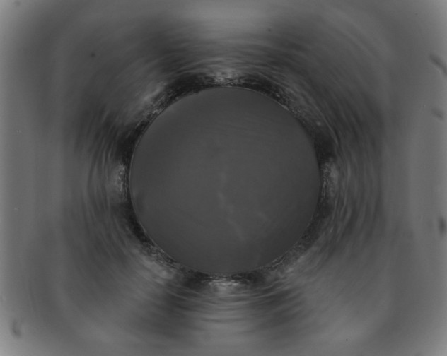 X0000091350650200708241248
