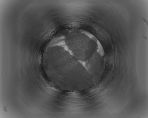 X0000091350652200708241248