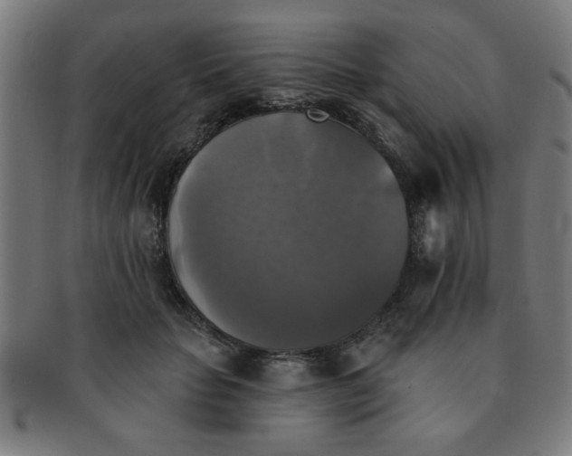 X0000091350653200708241248
