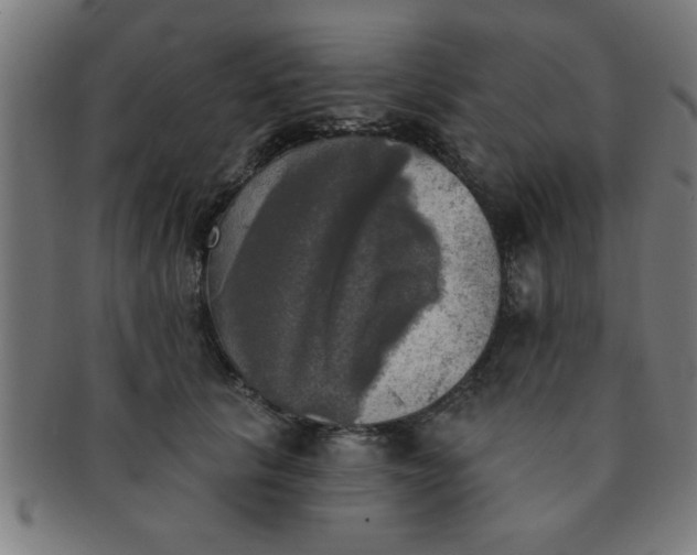 X0000091350657200708241248