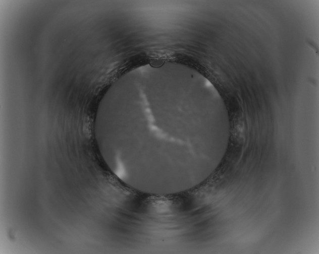 X0000091350658200708241248
