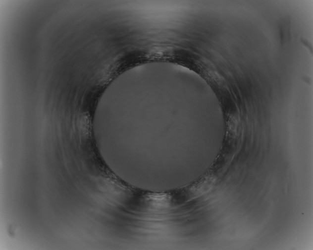 X0000091350659200708241248