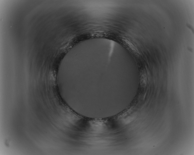 X0000091350661200708241248