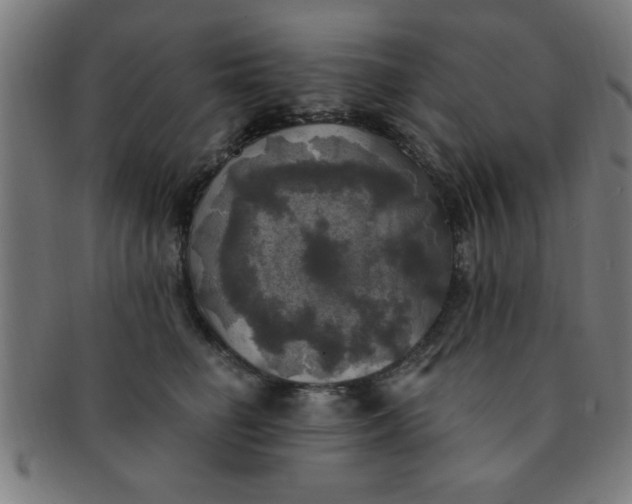 X0000091350662200708241248