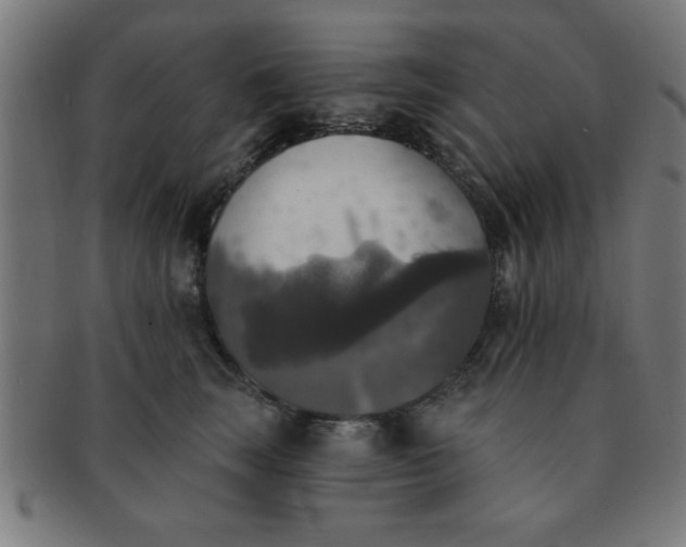 X0000091350663200708241248
