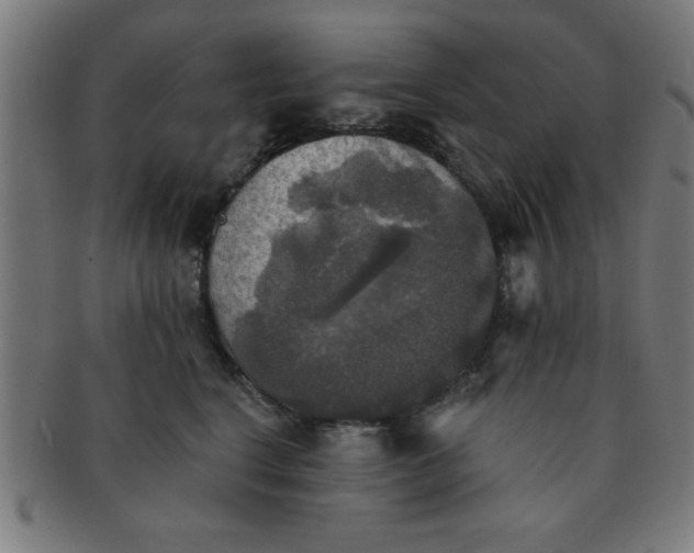 X0000091350664200708241248