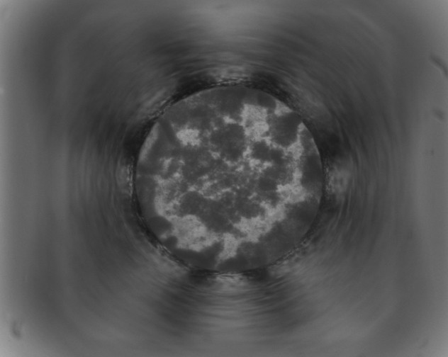 X0000091350666200708241248