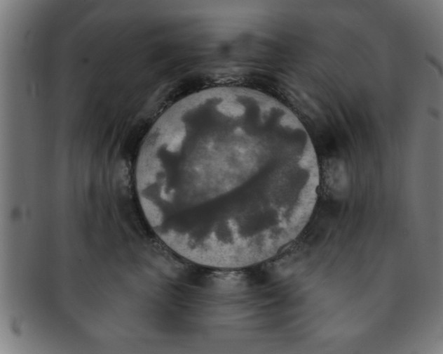 X0000091350667200708241248