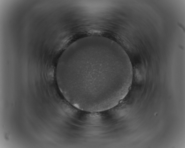 X0000091350668200708241248