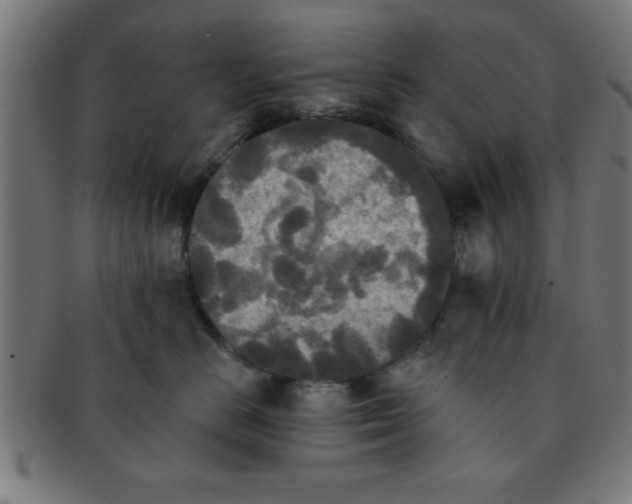 X0000091350670200708241248