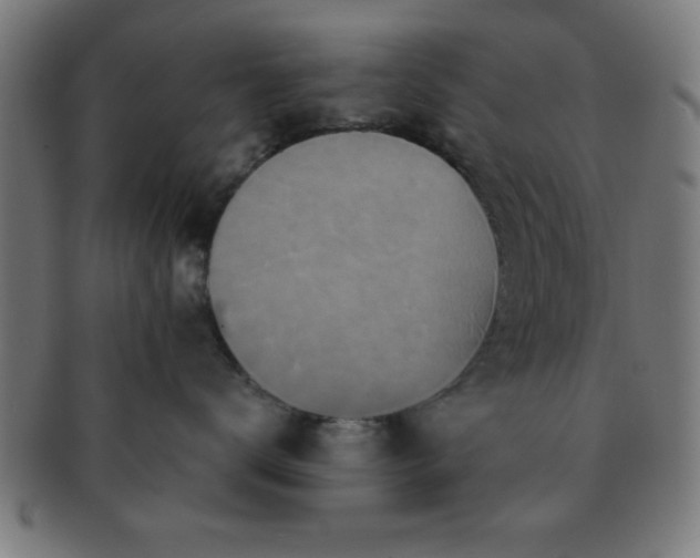 X0000091350672200708241248