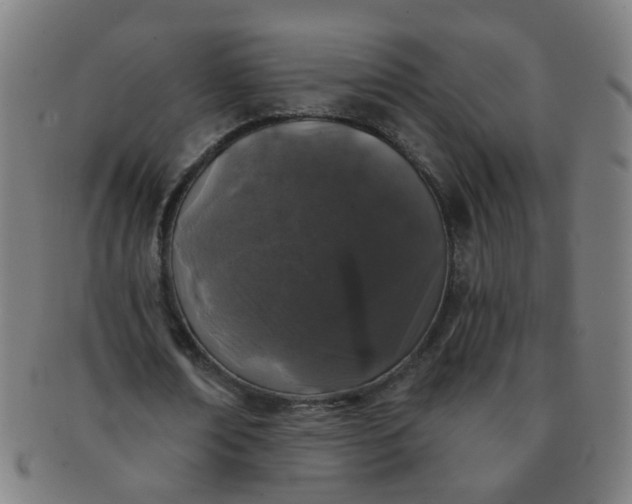 X0000091350674200708241247