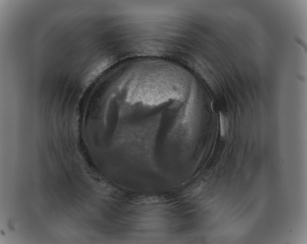 X0000091350675200708241247