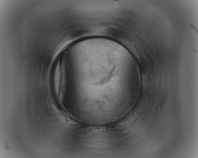 X0000091350676200708241247