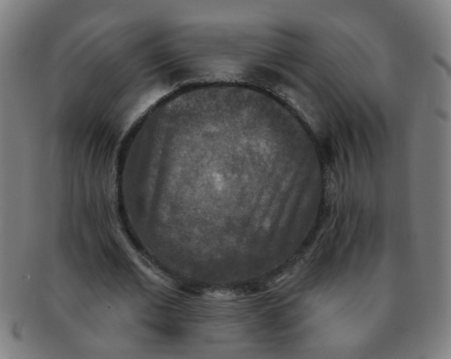 X0000091350677200708241247