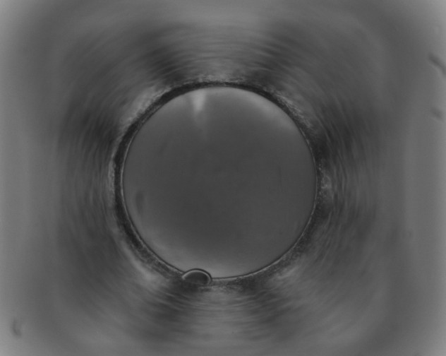 X0000091350678200708241247