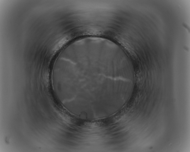 X0000091350679200708241247