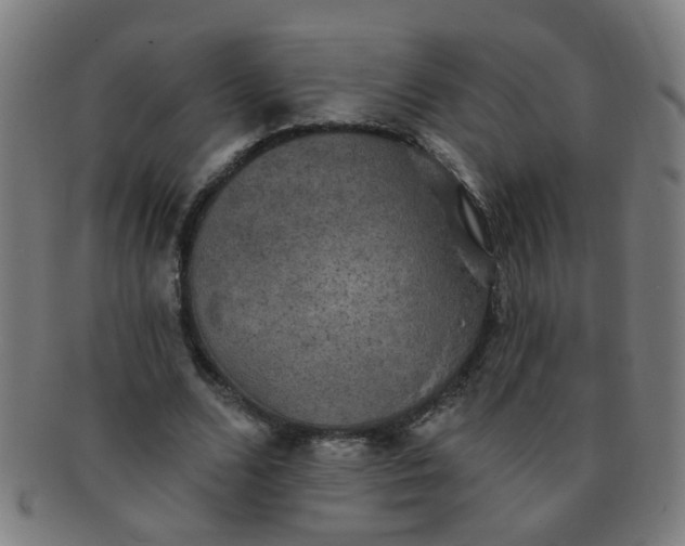 X0000091350680200708241247