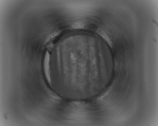 X0000091350681200708241247