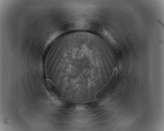 X0000091350684200708241247