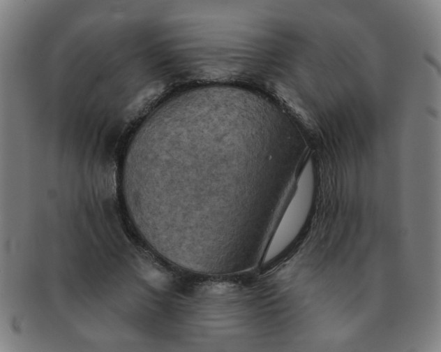 X0000091350685200708241247