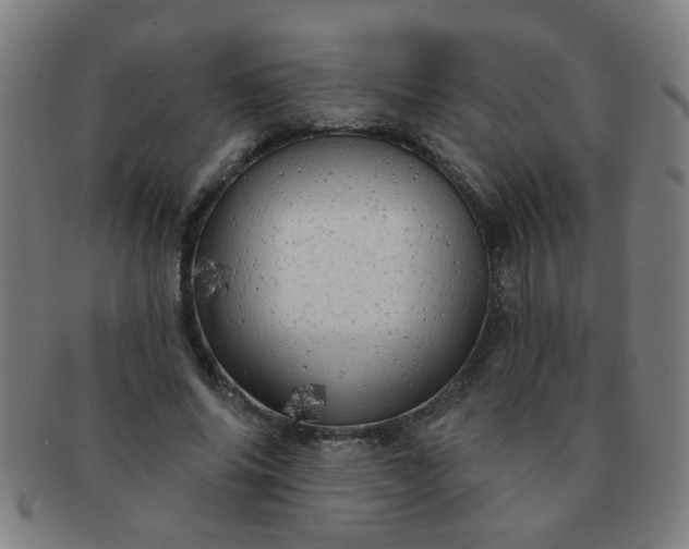 X0000091350686200708241247