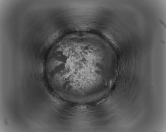 X0000091350687200708241247