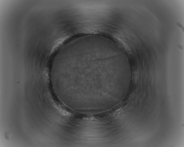 X0000091350688200708241247
