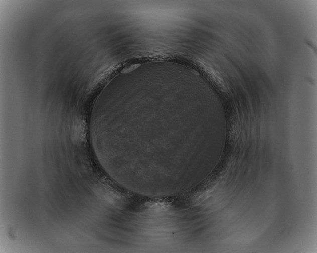 X0000091350689200708241247