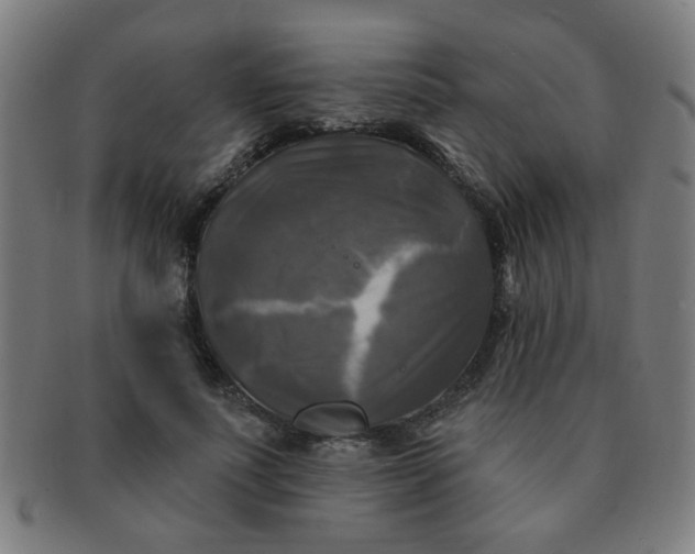 X0000091350691200708241247