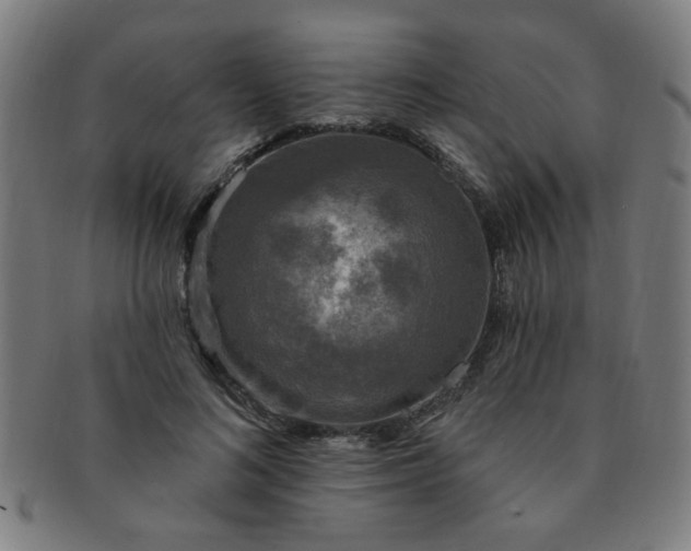 X0000091350692200708241247