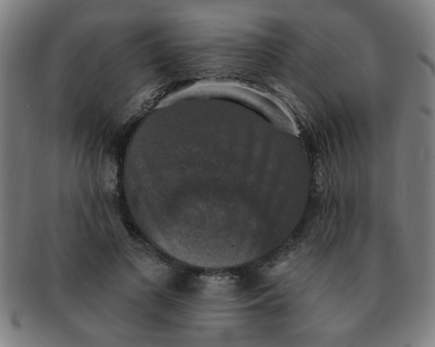 X0000091350693200708241247