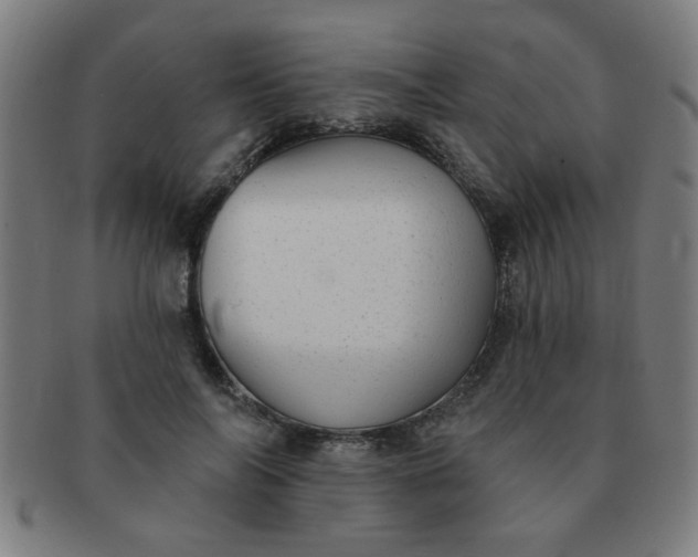 X0000091350694200708241247