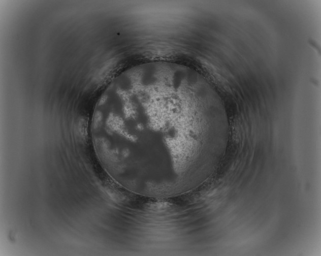 X0000091350695200708241247