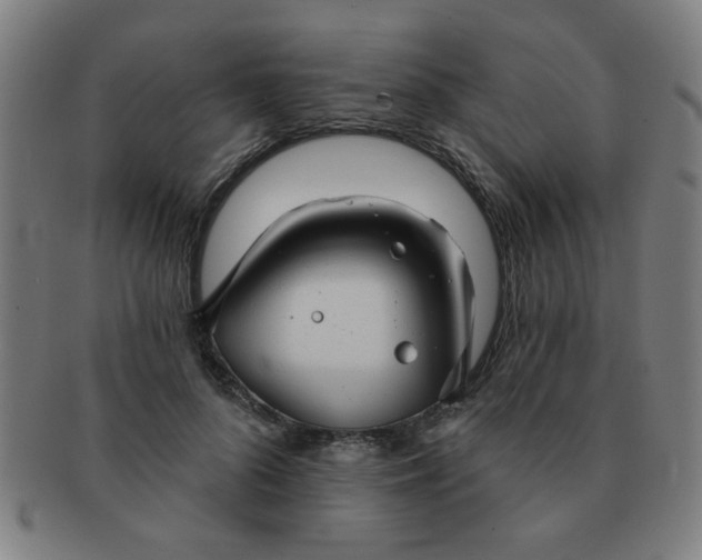 X0000091350696200708241247