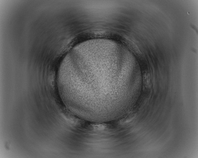 X0000091350698200708241247