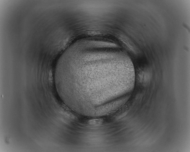 X0000091350700200708241247