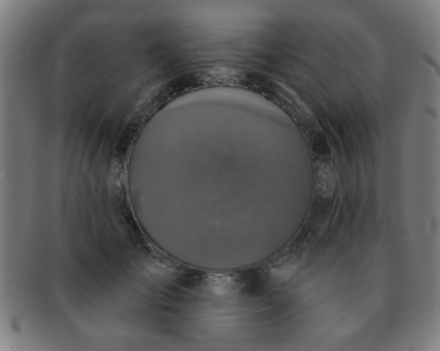 X0000091350701200708241247