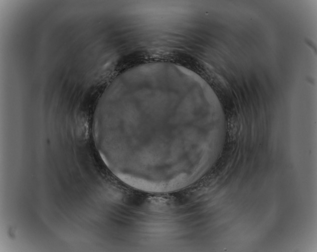 X0000091350703200708241247