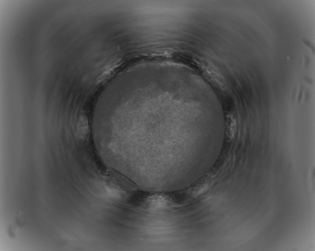 X0000091350704200708241247